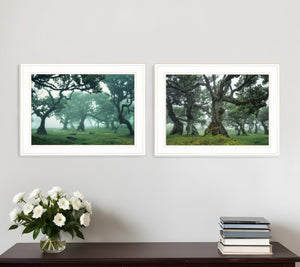 HomeRoots Set of Two Enchanted Forest Framed Prints - Rustic Charm Meets Modern Style for Any Room 408031