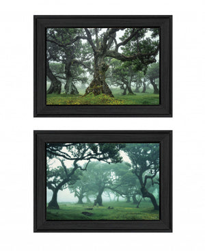Homeroots Set Of Two Enchanted Forest 2 Black Framed Print Wall Art Charcoal Wood Print 408032