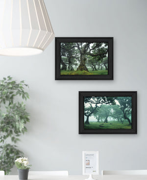 Homeroots Set Of Two Enchanted Forest 2 Black Framed Print Wall Art Charcoal Wood Print 408032