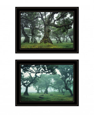 Homeroots Set Of Two Enchanted Forest 3 Black Framed Print Wall Art Black And Gold Wood Print 408033