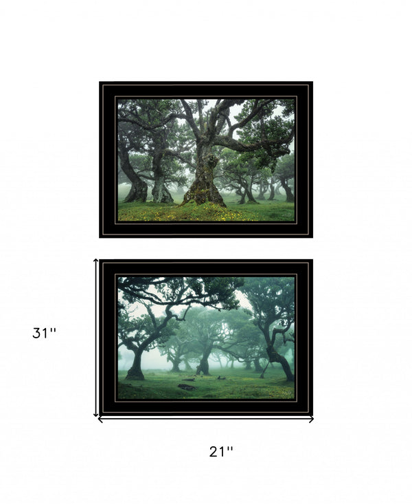 Homeroots Set Of Two Enchanted Forest 3 Black Framed Print Wall Art Black And Gold Wood Print 408033