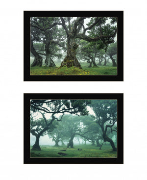 Homeroots Set Of Two Enchanted Forest 4 Black Framed Print Wall Art Black Wood Print 408034