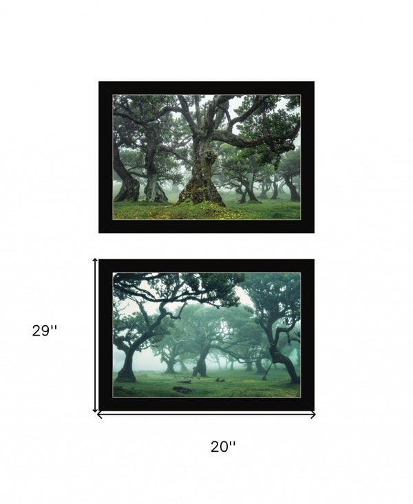 Homeroots Set Of Two Enchanted Forest 4 Black Framed Print Wall Art Black Wood Print 408034