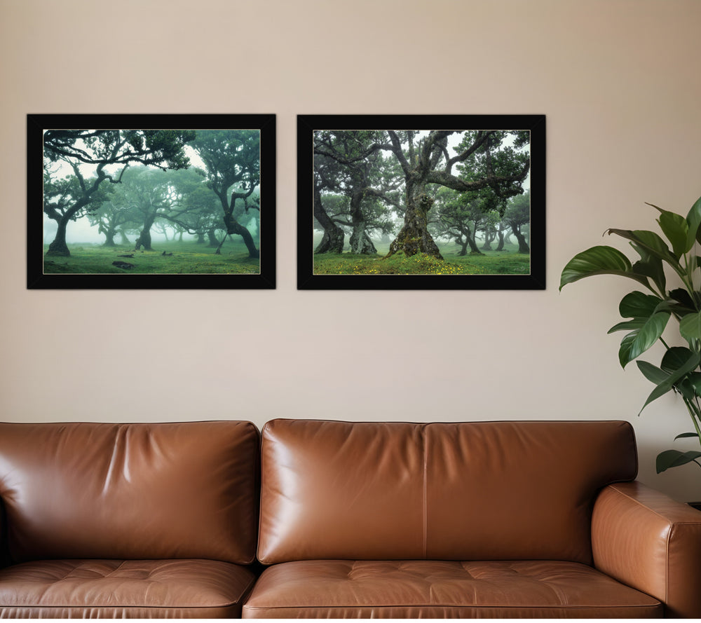 Homeroots Set Of Two Enchanted Forest 4 Black Framed Print Wall Art Black Wood Print 408034