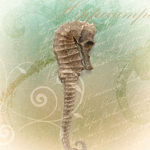 Homeroots Set Of Two The Sea Iii And Sea Iv 1 Black Framed Print Wall Art Black And Gold Wood Print 408059