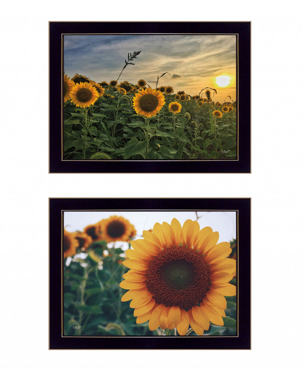 Homeroots Set Of Two Midwest Living 4 Black Framed Print Wall Art  Wood Print 408175