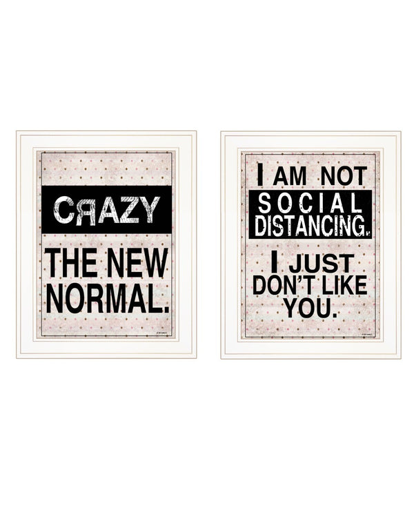 HomeRoots Set of Two Modern Farmhouse Framed Print Wall Art for Stylish Home Décor and Easy Installation White 408176