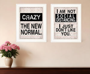 HomeRoots Set of Two Modern Farmhouse Framed Print Wall Art for Stylish Home Décor and Easy Installation White 408176