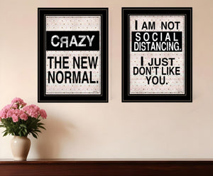 HomeRoots Set of Two Modern Farmhouse Framed Print Wall Art for Stylish Home Décor and Easy Installation Black and Gold 408178