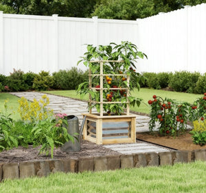 English Elm Versatile Raised Garden Bed with Trellis Fir Wood Galvanized Steel Patio Planter T3971P422642