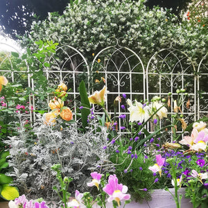 English Elm 4 Pack Galvanized Steel Garden Trellis Panels Powder Coated Cream White Climbing Plant Support W1586P147434