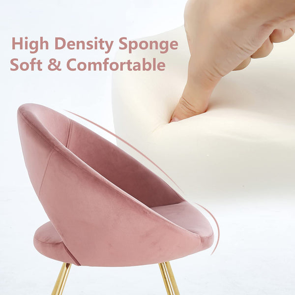 English Elm Modern Accent Velvet Chair Set of 2 Pink Upholstered Armchairs with Gold Metal Legs, Plush Comfort, Durable Elegance B205P246232