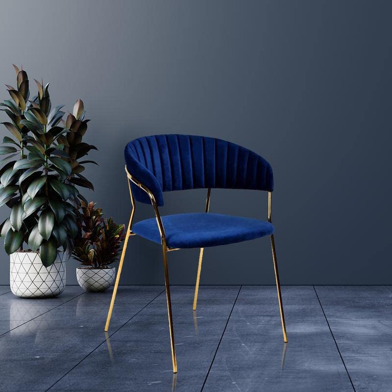 English Elm Modern Velour Dining Chairs Set of 2 with Gold Stainless Steel Legs, Plush Blue Armchairs for Living Room B011P353140