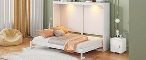English Elm Queen Murphy Wall Bed with Led Lighting Modern Cabinet Folds Flat for Studio Living White LP100973AAK