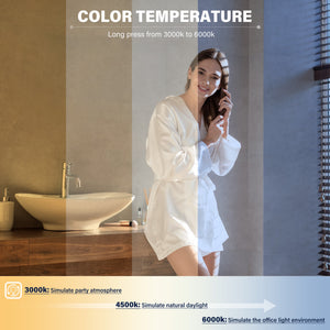 English Elm Bathroom LED Vanity Mirror 36x28 with Anti-Fog, Dimmable 3-Color Temp, Memory Function, Silver Frame T3177P284024