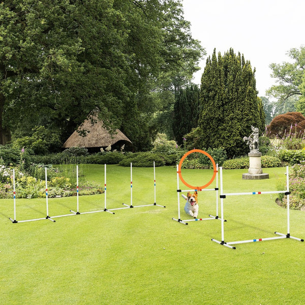 English Elm Pawhut 3Pc Dog Agility Set - Adjustable Hurdle, Hoop & Weave Poles For Fun Fitness & Training! W2225P200582-GIGA
