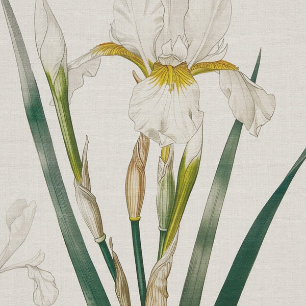 JLA Home Madison Park - Herbal Linen-Texture Botanical Wall Art Set of 4 Framed Prints — Rustic Wood Frames, Gallery-Ready Elegance MP95C-0365