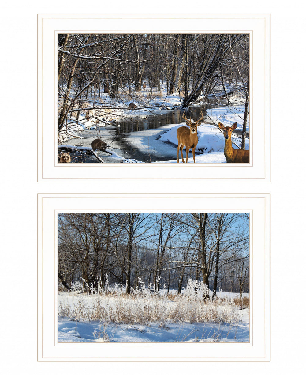 Homeroots Set Of Two Great Outdoors Nature Or Winter Forest 2 White Framed Print Wall Art  Wood Print On Paper 416033