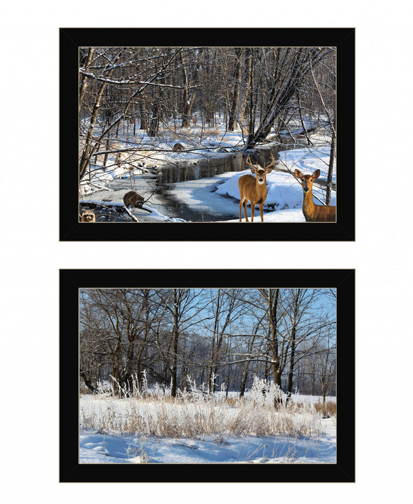 Homeroots Set Of Two Great Outdoors Nature Or Winter Forest 1 Black Framed Print Wall Art  Wood Print On Paper 416036