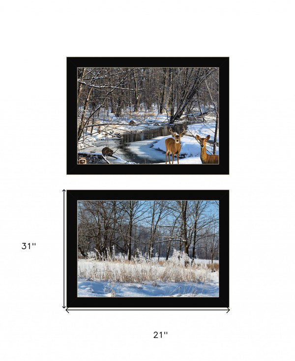 Homeroots Set Of Two Great Outdoors Nature Or Winter Forest 1 Black Framed Print Wall Art  Wood Print On Paper 416036