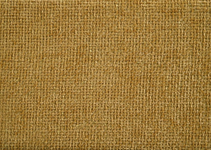 English Elm Luxurious Modern Daybed with Pull-Out Trundle, Button Tufted Upholstery and Nailhead Trim Comfort Elegance Gold 83 L x 13.25 W x 6.5 H B011S01717