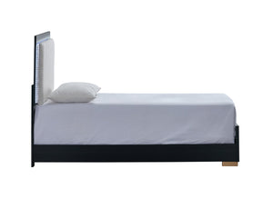 English Elm Steeler Twin Bed Led Backlit Upholstered Headboard Black Frame Gold Accent Feet B078S00701