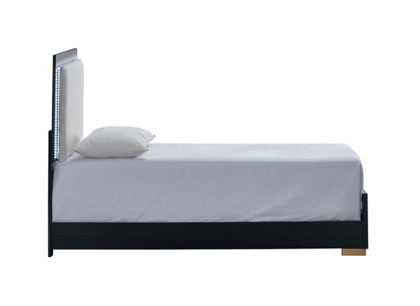 English Elm Steeler Twin Bed Led Backlit Upholstered Headboard Black Frame Gold Accent Feet B078S00701