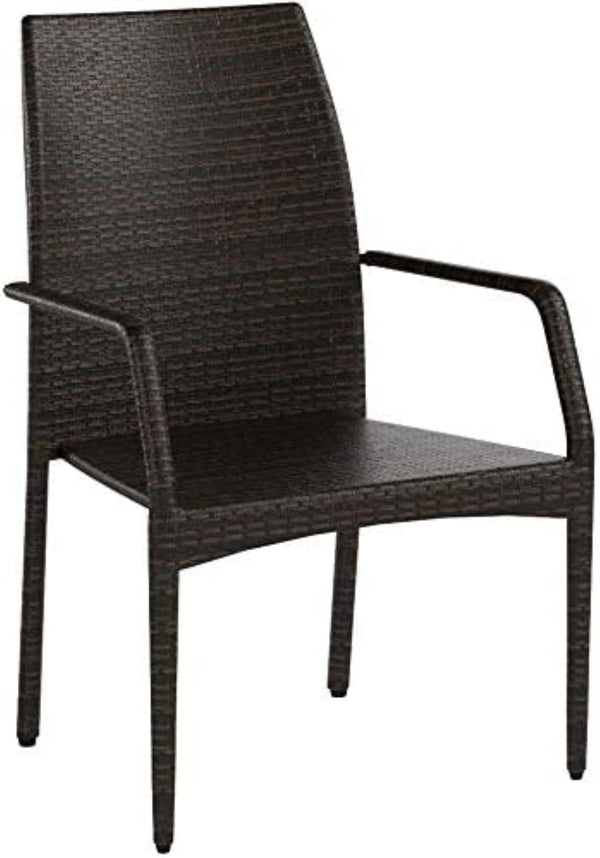 English Elm Outdoor Wicker Patio Chairs Set of Two with Iron Frame for Deck or Garden N769P363845D