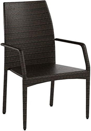 English Elm Outdoor Wicker Patio Chairs Set of 2 with Iron Frame for Deck or Garden Lounging N769P334785A