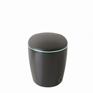 English Elm Unique Smart One Piece Toilet with Bidet Foot Sensor Auto Lid Warm Dryer Night Light W3133P384914