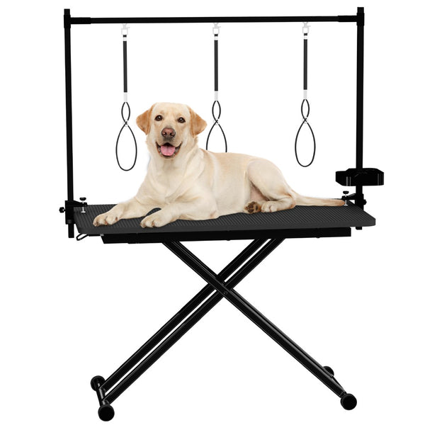 English Elm 47'' Foldable Dog Grooming Table X-lift Adjustable Height Station with Arm Noose Organizer W3587P358750