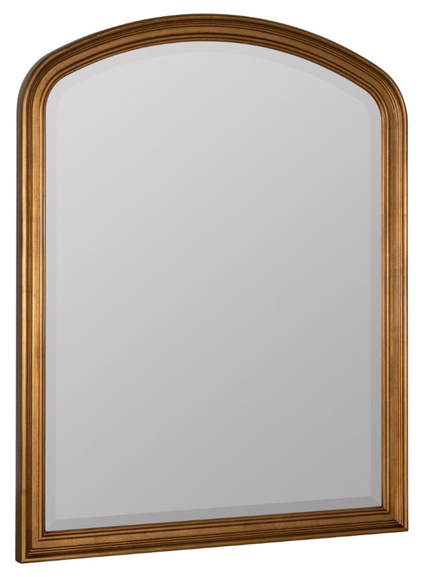 Cooper Classics Lyla Antique Gold Resin Wall Mirror Ornate Relief Frame for Entryway or Dresser 42199