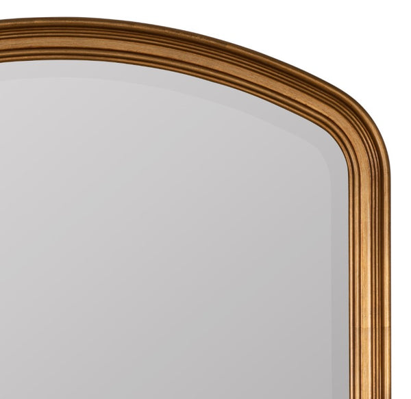 Cooper Classics Lyla Antique Gold Resin Wall Mirror Ornate Relief Frame for Entryway or Dresser 42199