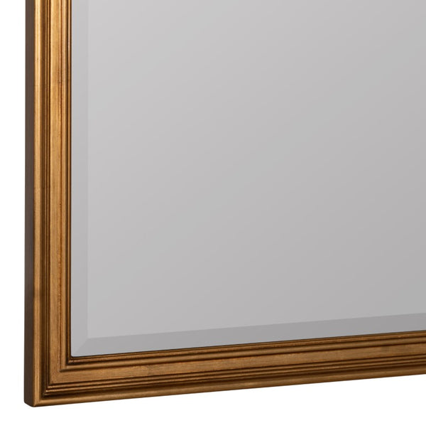 Cooper Classics Lyla Antique Gold Resin Wall Mirror Ornate Relief Frame for Entryway or Dresser 42199