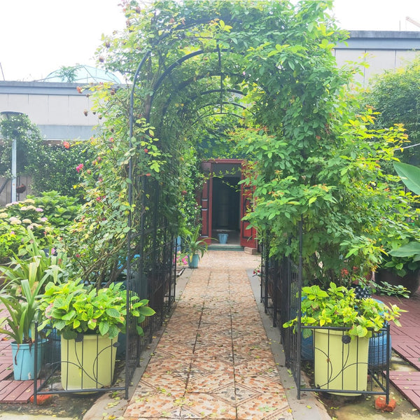 English Elm Metal Garden Arch with Planter Stands Powder Coated Steel Climbing Rose Support W158681135