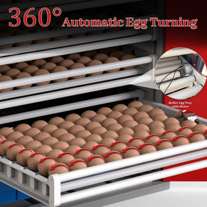 English Elm 1000-egg Cabinet Incubator Auto-turning Digital Climate Control for Poultry Hatching W2700P356961