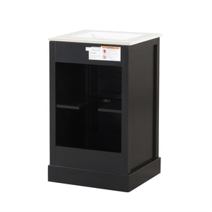 English Elm 20" Modern Bathroom Vanity With Soft-Close Door, Adjustable Shelf & Stylish Black Finish For Storage N725P351852B