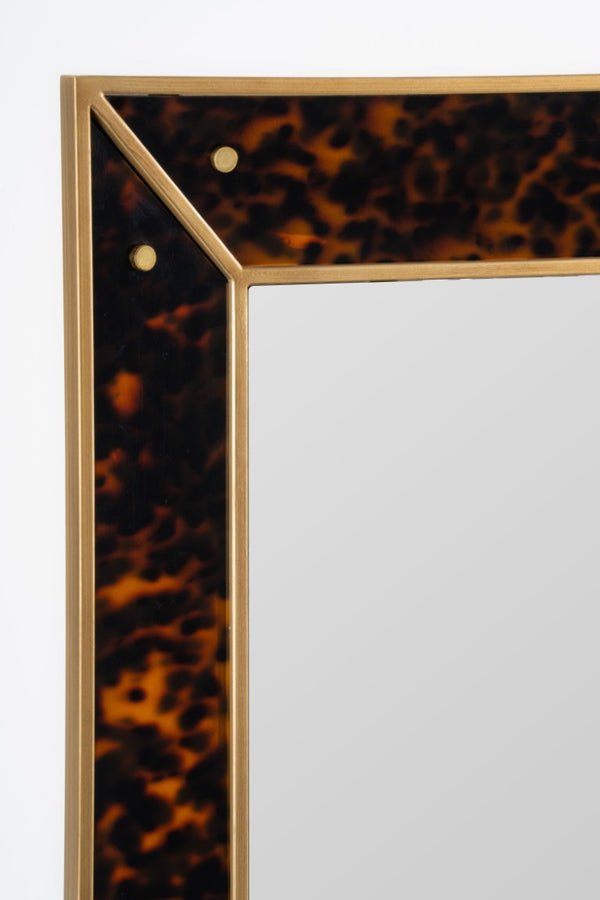 Cooper Classics Cooper Classics Newbury Tortoiseshell Acrylic Wall Mirror with Polished Brass Trim 42594