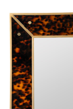 Cooper Classics Cooper Classics Newbury Tortoiseshell Acrylic Wall Mirror with Polished Brass Trim 42594