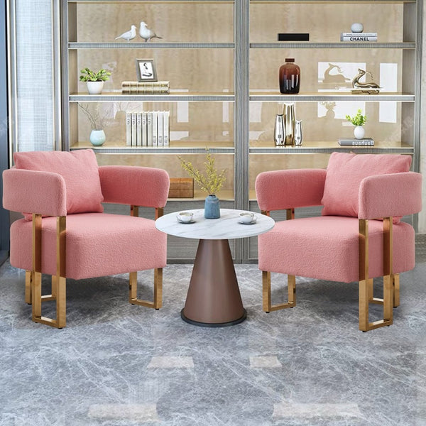 English Elm Ts Teddy Fleece Accent Chair Set Two Plush Seats Gold Square Legs Glam Decor Pink W2311P190459
