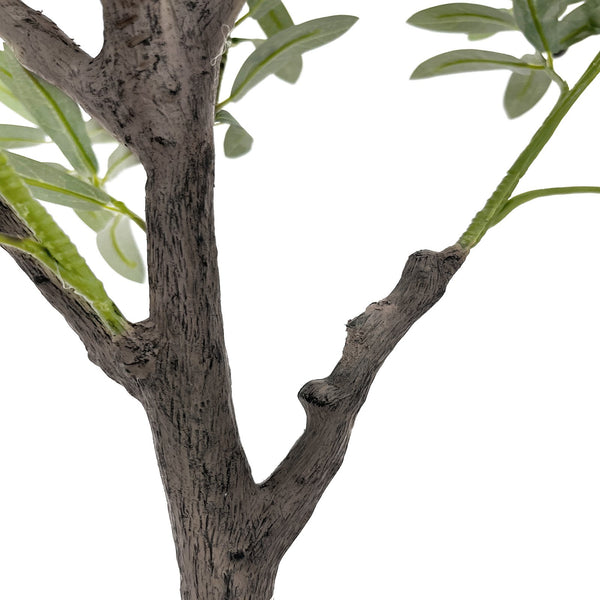 English Elm Artificial Olive Tree 6Ft In Pot With Faux Moss - Elegant Décor For Home & Office, Low Maintenance T3210P298176