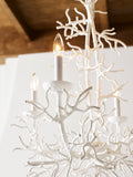 Cora Lee Chandelier White/Cream 67452-WILDWOOD Wildwood