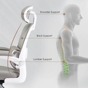 English Elm Ergonomic Office Chair With Adjustable Lumbar Support, Flip-Up Armrests & Stylish Modern Design T3623P380905