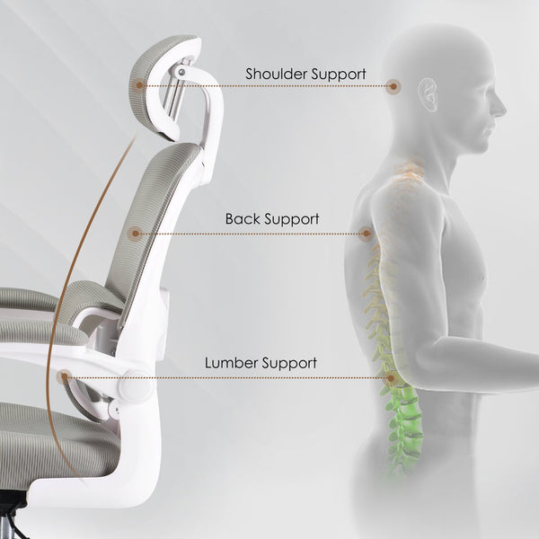 English Elm Ergonomic Office Chair With Adjustable Lumbar Support, Flip-Up Armrests & Stylish Modern Design T3623P380905