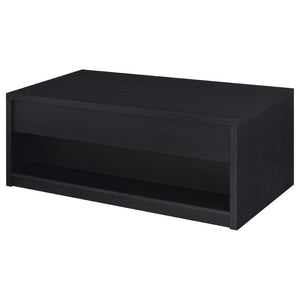 English Elm Fletcher Lacquered High Gloss Coffee Table with Open Shelf for Modern Living Rooms B062P447736