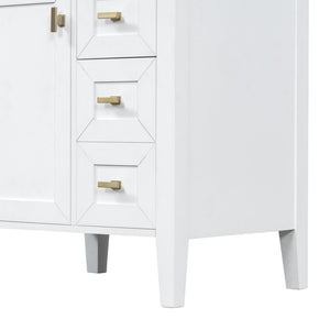 English Elm "24'' 24 Inch Glossy Freestanding Bathroom Vanity with Gold Hardware and Soft Close Storage White Rubberwood N725P448529K
