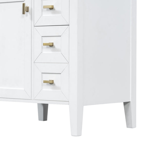 English Elm "24'' 24 Inch Glossy Freestanding Bathroom Vanity with Gold Hardware and Soft Close Storage White Rubberwood N725P448529K
