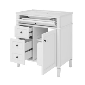 English Elm 30'' Modern Bathroom Vanity With Ceramic Sink, Soft-Close Drawers & Stylish Storage Cabinet Solutions N710P206904Z