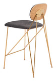 Georges Counter Stool - Set of 2 Gray & Gold 109662 Zuo Modern