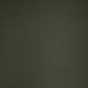 Meridian Furniture Swerve Curved Velvet Sofa with Contrast Piping Sculptural Upholstered Living Room Seating Green 77 inches 44021Green-L